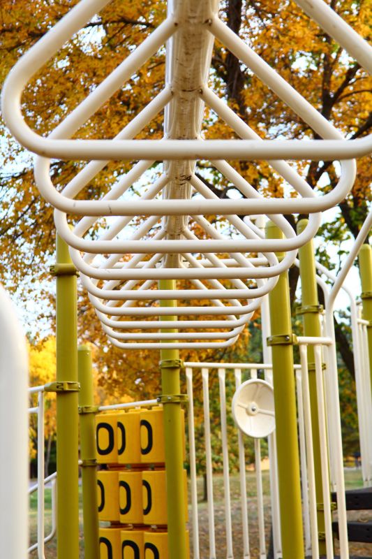 Monkey Bars Installation in Littleton, CO